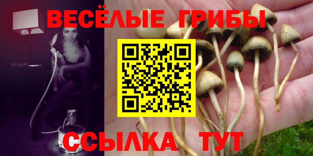 Галлюциногенные грибы Psilocybine cubensis  Вход с VPN  Обнинск 
